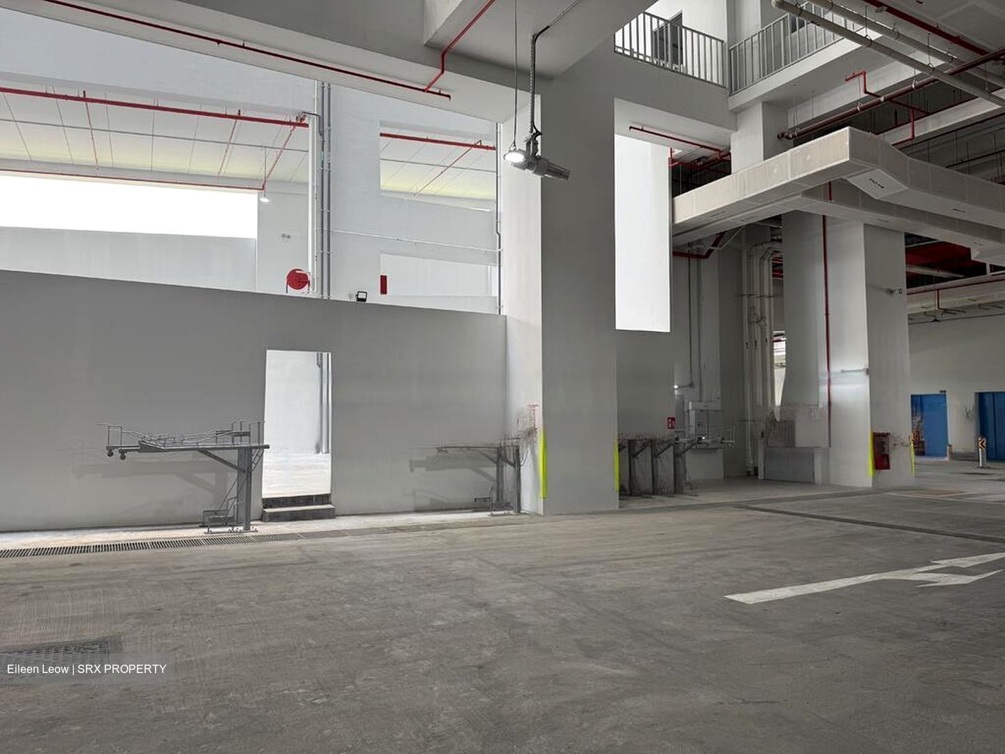 Ct Foodnex (D25), Factory #498352421